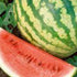 Watermelon, Warpaint ~ Seed packet, Eden Seeds
