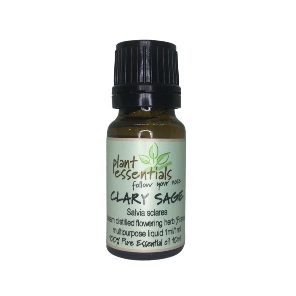 Clary Sage Essential Oil, Salvia sclarea