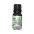 Cypress Essential Oil, Cupressus sempervirens