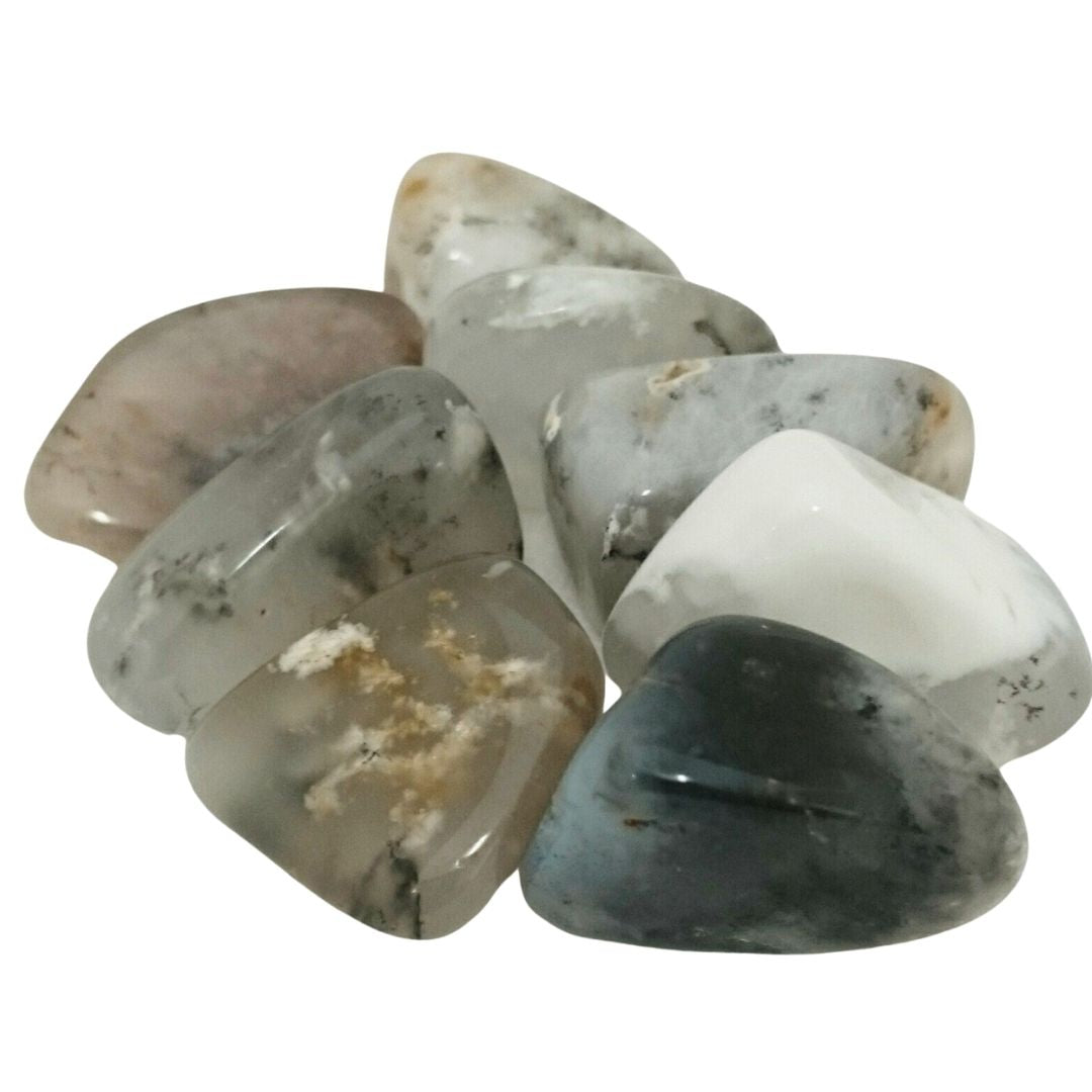 Dendritic Agate ~ Tumbled stone (each)