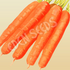 Carrot, Nantes ~ Seed packet, Eden Seeds