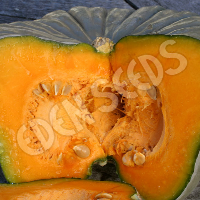 Pumpkin, Qld Blue ~ Seed packet, Eden Seeds