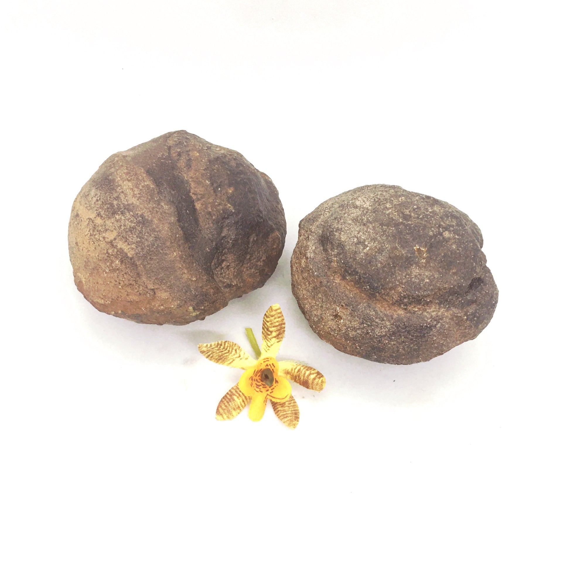 Shaman Stone ~ Boji Stones, Moqui Balls (pair) ~ extra large